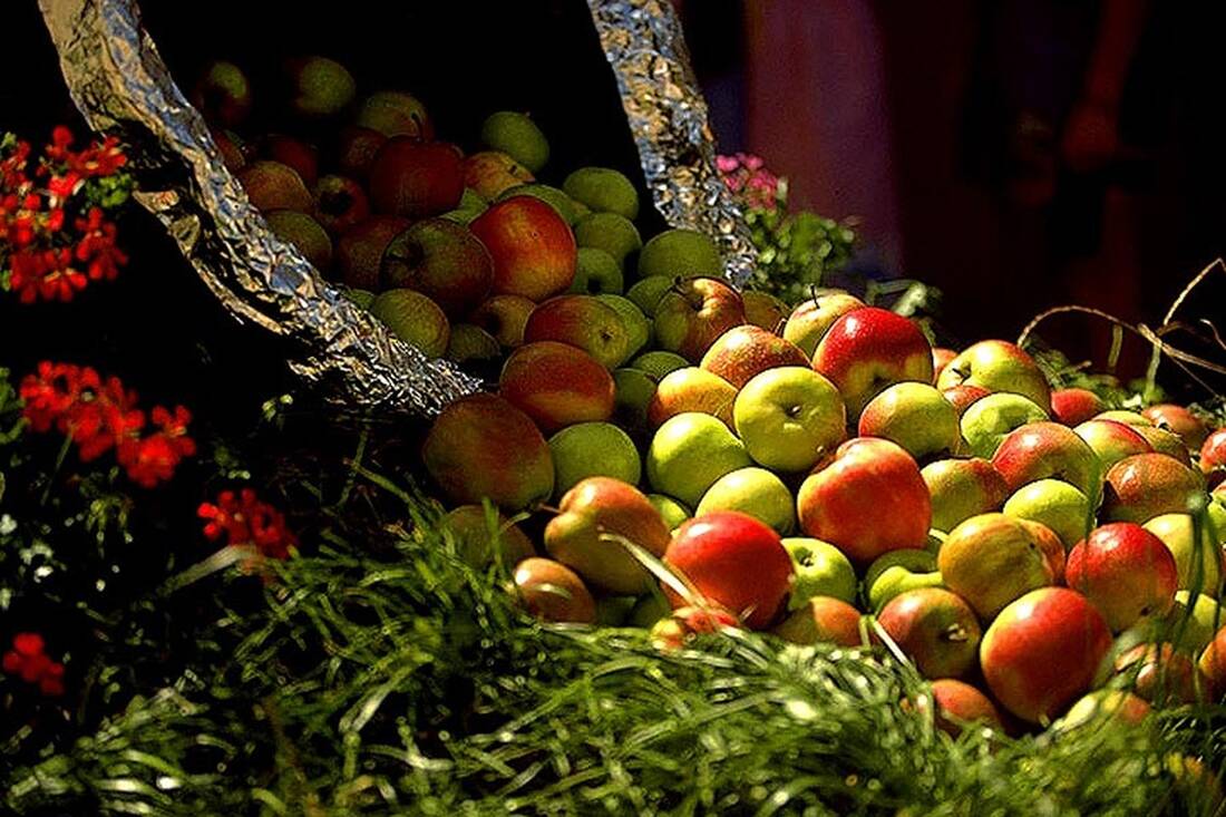 Äpfel aus Südtirol