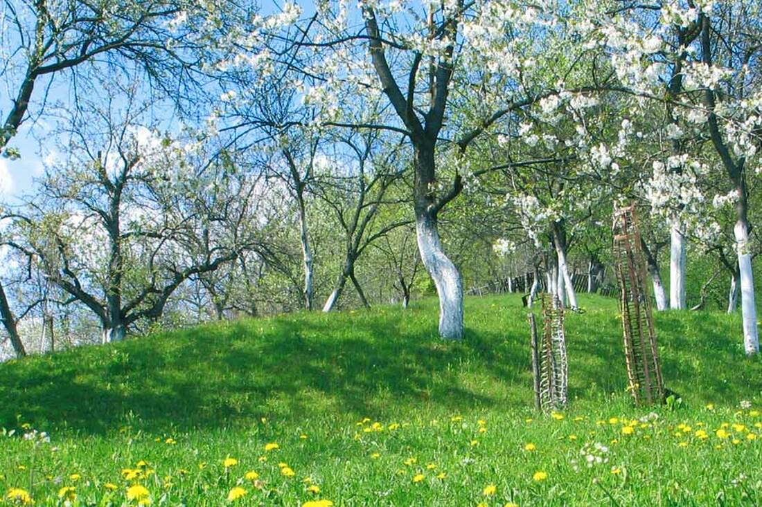Frühling in Südtirol und Tirol