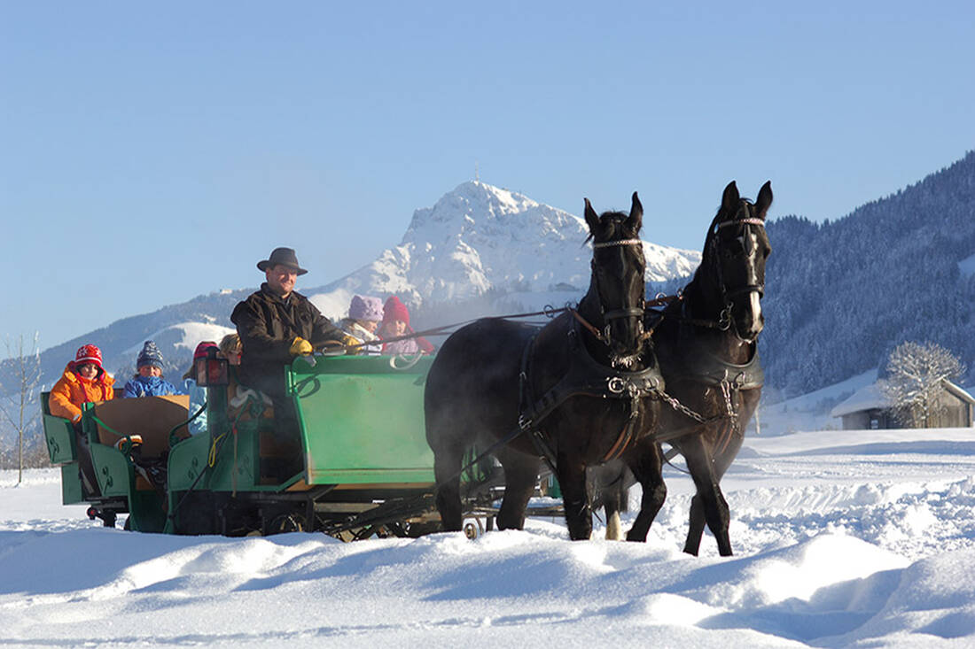 Pferdekutschen-Fahrt im Winter