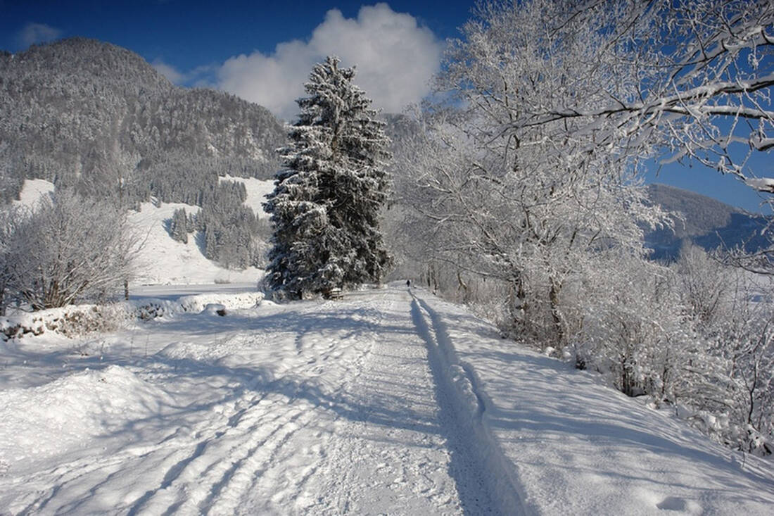 Winterwandern in der Olympiaregion Seefeld