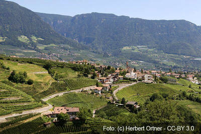 Dorf Tirol bei Meran, Südtirol