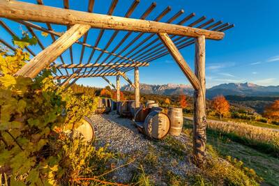 Wein und Wandern in Südtirol Geyrerhof